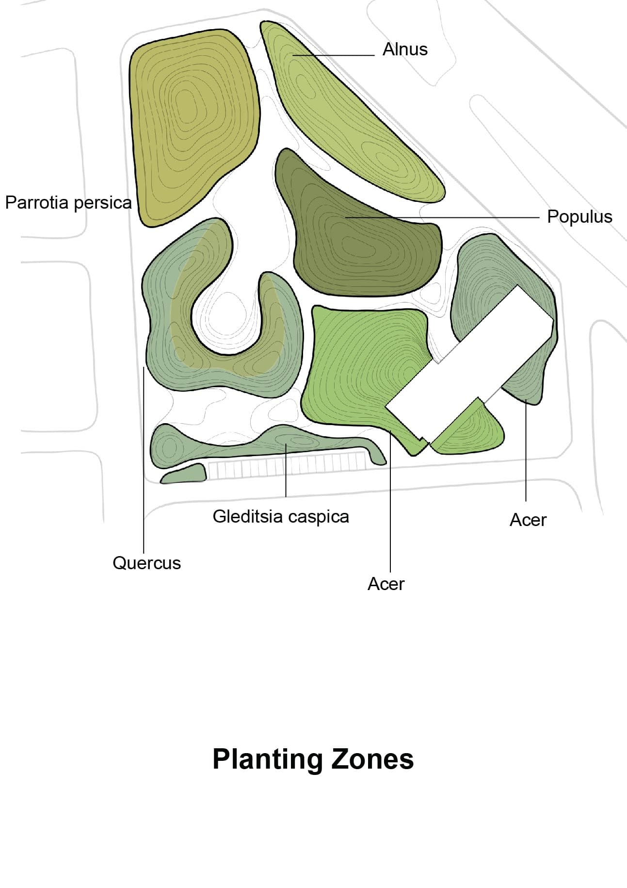 پلان کاشت بسکی 02 02 02